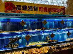 -小平岛開海水饺(浑南店)