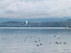 -洱海月湿地公园