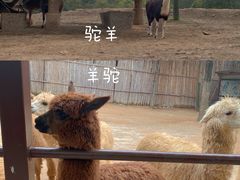 -杭州野生动物世界
