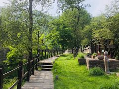 -Local泰莲庭(虹鳟鱼店)