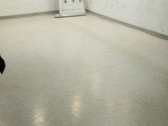 -半天妖烤鱼(方庄店)