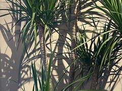 -West10 西拾·西餐厅·创意菜(未来科技城店)