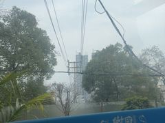 -树厨贵州菜(铜仁花果山店)