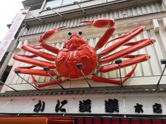 -蟹道乐(道顿堀本店)