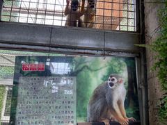 -武清南湖绿博园