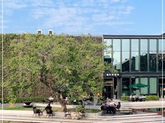 -星巴克(深圳前海企业公馆店)