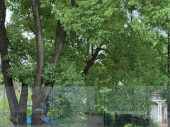 -J Create城市露营咖啡·简餐·宠物(上海动物园店)