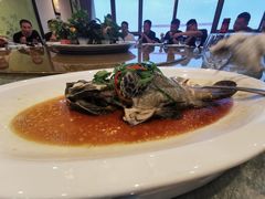 -欢乐海岸美食联盟