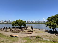 -台场海滨公园船码头