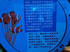 -芜湖新华联大白鲸海洋公园