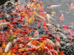 -番禺宾馆丽苑厅