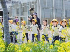 -华媒维翰幼儿园