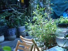 -家烧面馆【南山路知名经典面食】