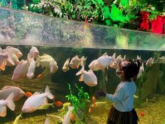 -常州海昌海洋探索馆