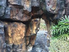 -明月山天沐温泉度假村