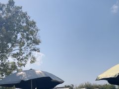 -暮谷MUGO ·团建聚会·露营烧烤·生日派对·共享菜地