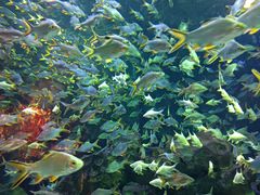 -成都浩海立方海洋公园