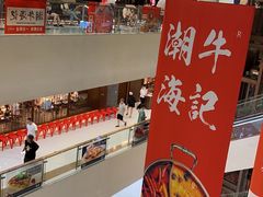 -捞王猪肚鸡火锅(金华义乌之心店)