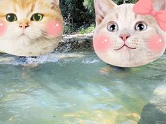 -三江森林温泉度假区