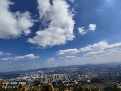 -长虫山生态公园风景林