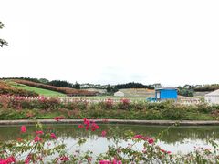 -迪茵湖田家舍生态农场
