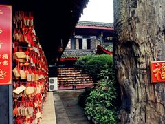 -峨眉山报国寺