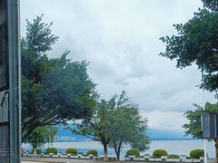 -野菌皇海景野生菌火锅(滨海大道店)