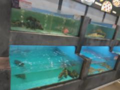 -徐记海鲜(开福寺|伍家岭店)