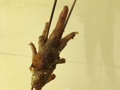 -阿芮烤鸡爪(世纪金源店)