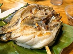 -杨合林啊兰烤鱼