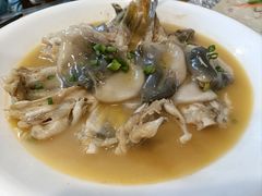 -9号小厨师(端平桥店)