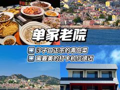 -单家老院·院子里的青岛菜(沙子口店)