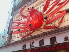 -蟹道乐(道顿堀本店)