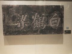 -白鹤梁水下博物馆