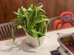 -螺大喜螺蛳粉火锅(雍和宫店)