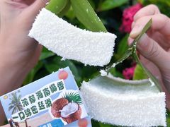 -椰小鸡·琼州糟粕醋(美兰缤纷城店)