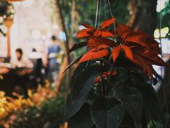 -库玛丽尼泊尔风味餐吧