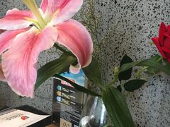 -法兰度航空主题餐厅(东汇城店)