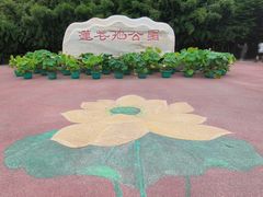 -莲花池公园