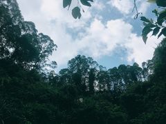 -水濂山森林公园