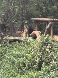 -大连美天医疗美容医院
