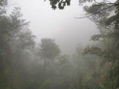 -大连天门山国家森林公园