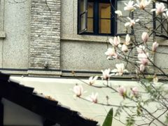 -甘婆婆醪糟汤圆
