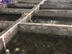 -阔澜蒸汽海鲜自助
