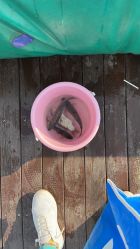 -小蜜蜂农场(凯德七宝购物广场店)