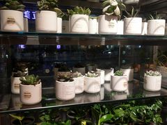 -MUJI无印良品(顺城店)