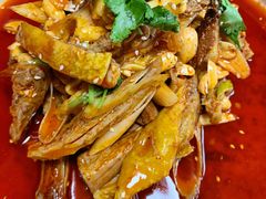 -青城甲(青城山店)