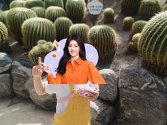 -南山植物园