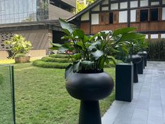 -Tivano意大利餐厅(成都居舍酒店)