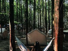 -山王坪喀斯特国家生态公园